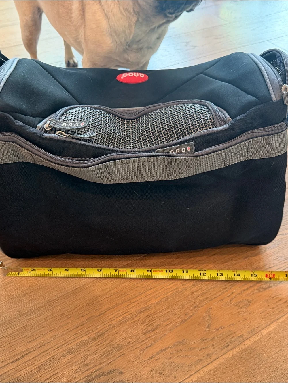 Black Pet Carrier soft Bag with Gray Trim